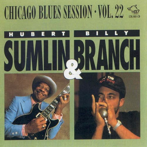 Chicago Blues Session Vol. 22
